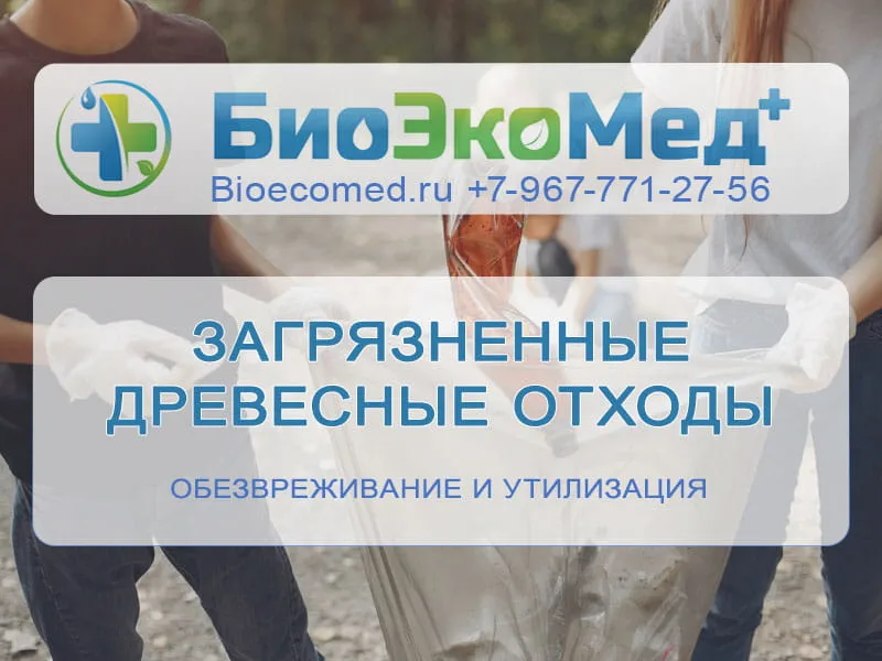 Загрязненные древесные отходы
